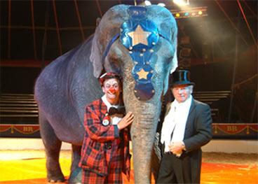 Bobby Roberts Circus